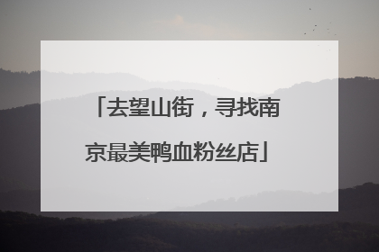 去望山街，寻找南京最美鸭血粉丝店