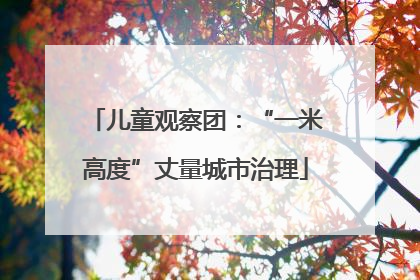 儿童观察团：“一米高度”丈量城市治理