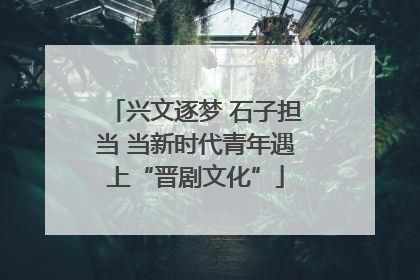 兴文逐梦 石子担当 当新时代青年遇上“晋剧文化”