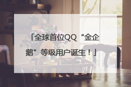 全球首位QQ“金企鹅”等级用户诞生！