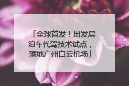 全球首发！出发层泊车代驾技术试点，落地广州白云机场