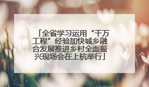 全省学习运用“千万工程”经验加快城乡融合发展推进乡村全面振兴现场会在上杭举行