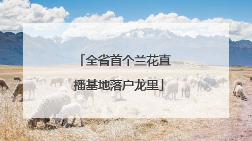 全省首个兰花直播基地落户龙里