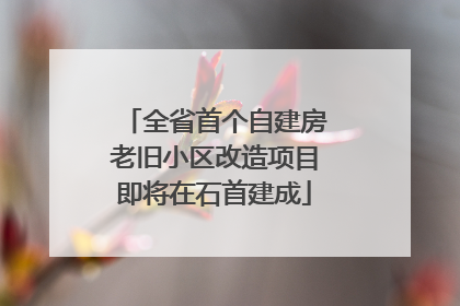 全省首个自建房老旧小区改造项目即将在石首建成