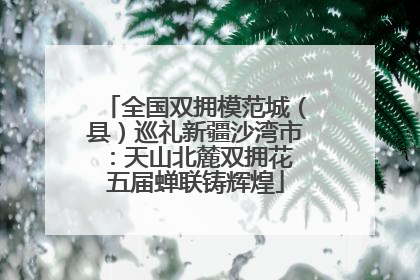 全国双拥模范城（县）巡礼新疆沙湾市：天山北麓双拥花 五届蝉联铸辉煌