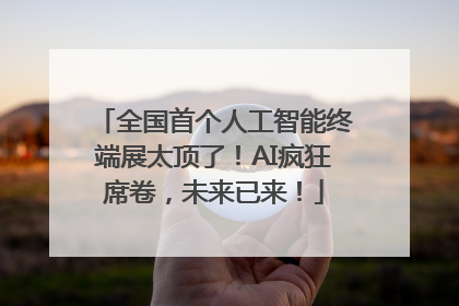 全国首个人工智能终端展太顶了！AI疯狂席卷，未来已来！