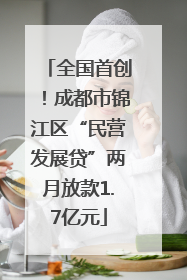 全国首创！成都市锦江区“民营发展贷”两月放款1.7亿元