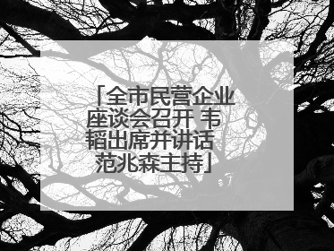 全市民营企业座谈会召开 韦韬出席并讲话 范兆森主持