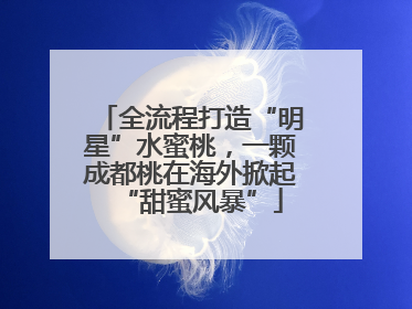 全流程打造“明星”水蜜桃，一颗成都桃在海外掀起“甜蜜风暴”