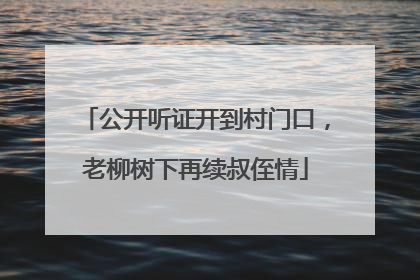 公开听证开到村门口，老柳树下再续叔侄情