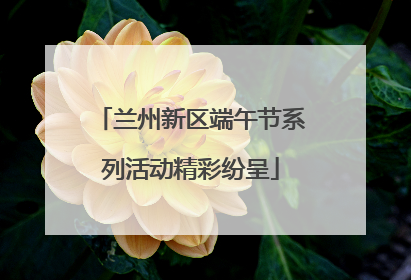 兰州新区端午节系列活动精彩纷呈