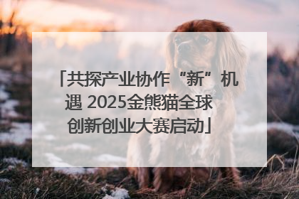 共探产业协作“新”机遇 2025金熊猫全球创新创业大赛启动
