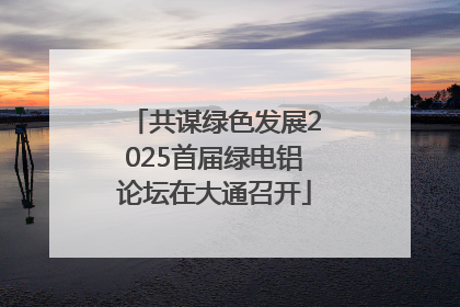 共谋绿色发展2025首届绿电铝论坛在大通召开