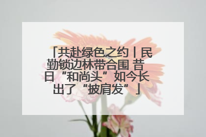 共赴绿色之约丨民勤锁边林带合围 昔日“和尚头”如今长出了“披肩发”
