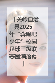关岭自治县2025年“奔跑吧少年”校园足球三级联赛圆满落幕