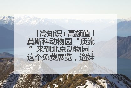 冷知识+高颜值！莫斯科动物园“顶流”来到北京动物园，这个免费展览，遛娃拍照两不误！