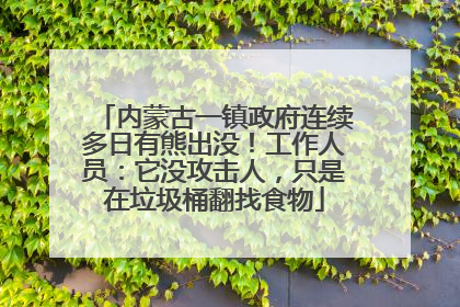内蒙古一镇政府连续多日有熊出没！工作人员：它没攻击人，只是在垃圾桶翻找食物