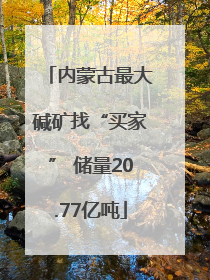 内蒙古最大碱矿找“买家” 储量20.77亿吨