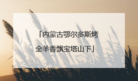 内蒙古鄂尔多斯烤全羊香飘宝塔山下