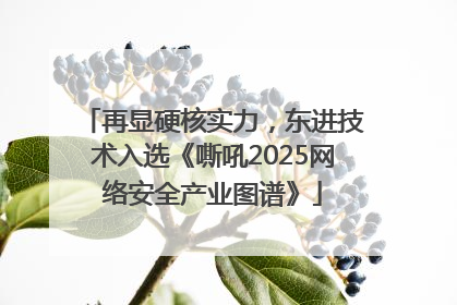 再显硬核实力，东进技术入选《嘶吼2025网络安全产业图谱》