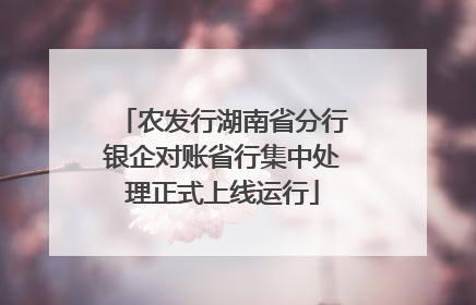 农发行湖南省分行银企对账省行集中处理正式上线运行