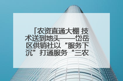 农资直通大棚 技术送到地头——岱岳区供销社以“服务下沉”打通服务“三农”最后一公里