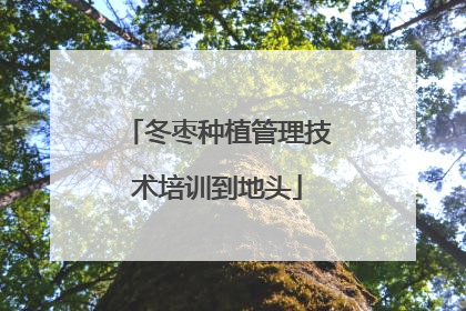 冬枣种植管理技术培训到地头