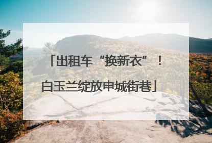 出租车“换新衣”！白玉兰绽放申城街巷