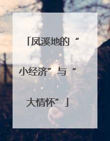 凤溪地的“小经济”与“大情怀”
