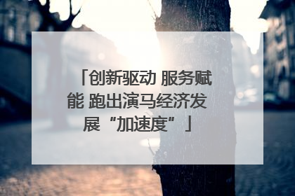 创新驱动 服务赋能 跑出演马经济发展“加速度”