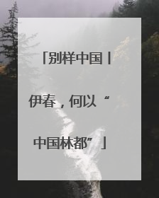 别样中国丨伊春，何以“中国林都”