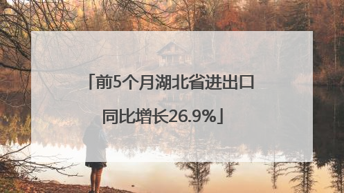 前5个月湖北省进出口同比增长26.9%