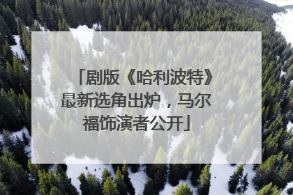剧版《哈利波特》最新选角出炉，马尔福饰演者公开