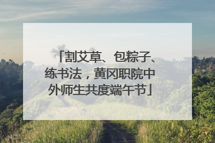 割艾草、包粽子、练书法，黄冈职院中外师生共度端午节