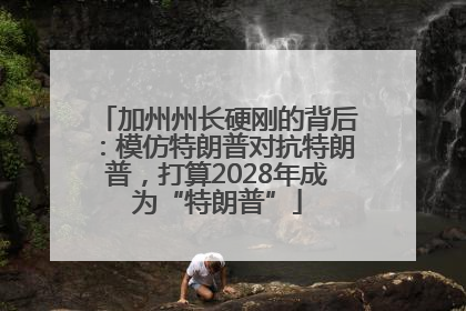 加州州长硬刚的背后：模仿特朗普对抗特朗普，打算2028年成为“特朗普”