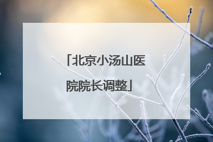 北京小汤山医院院长调整
