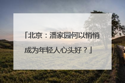 北京：潘家园何以悄悄成为年轻人心头好？