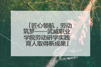匠心领航，劳动筑梦——武威职业学院劳动研学实践育人取得新成果