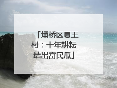埇桥区夏王村：十年耕耘结出富民瓜