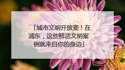 城市文明开放麦！在浦东，这些鲜活文明案例就来自你的身边