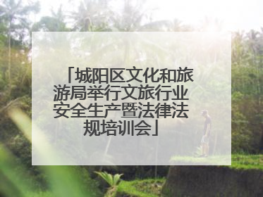 城阳区文化和旅游局举行文旅行业安全生产暨法律法规培训会