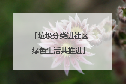 垃圾分类进社区 绿色生活共推进