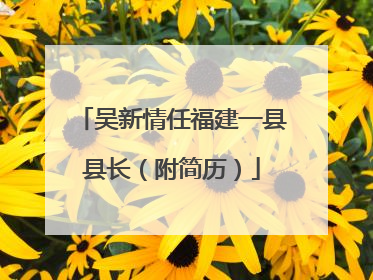 吴新情任福建一县县长（附简历）