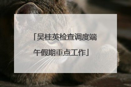 吴桂英检查调度端午假期重点工作