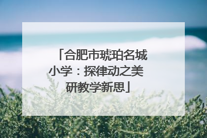 合肥市琥珀名城小学：探律动之美 研教学新思