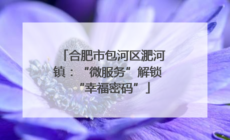 合肥市包河区淝河镇：“微服务”解锁“幸福密码”