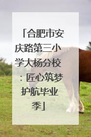 合肥市安庆路第三小学大杨分校：匠心筑梦 护航毕业季