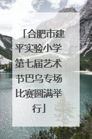 合肥市建平实验小学第七届艺术节巴乌专场比赛圆满举行