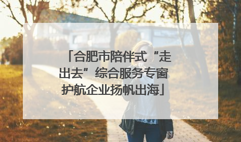 合肥市陪伴式“走出去”综合服务专窗护航企业扬帆出海