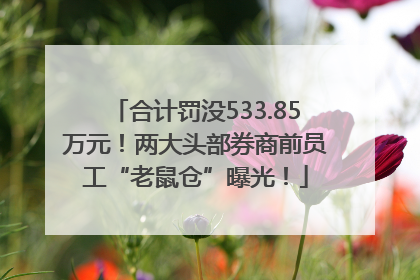 合计罚没533.85万元!两大头部券商前员工“老鼠仓”曝光!